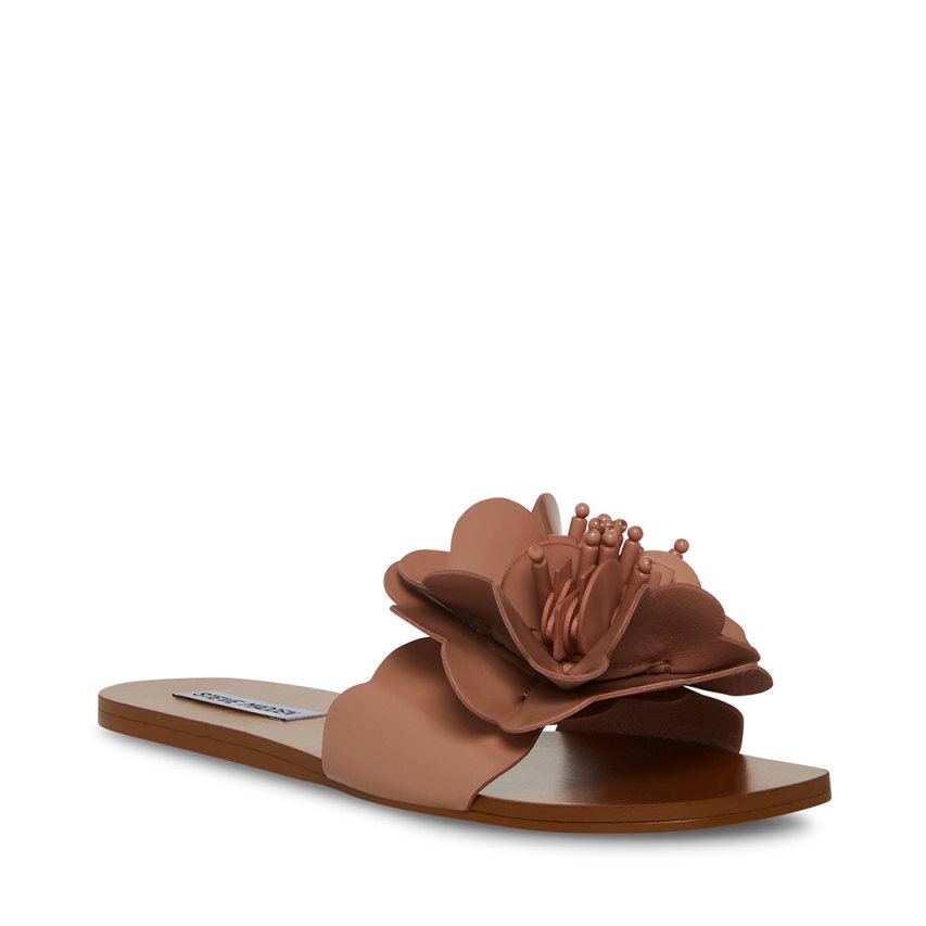 Brown Steve Madden Chelsea Women\'s Flat Sandals | PH 5728MAK